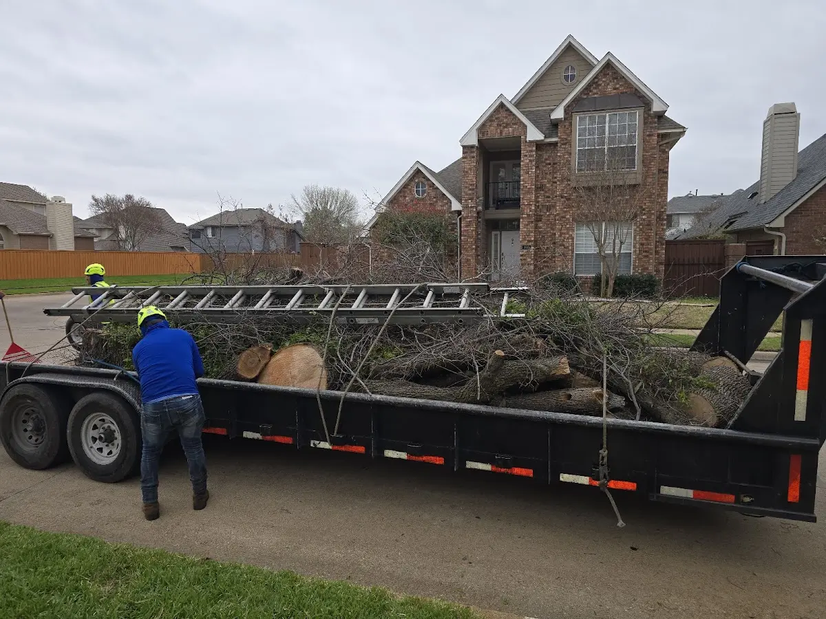 Expert Tree Fertilization with proper safety equipment in Bartlett
